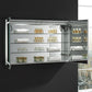 Fresca Spazio 48 Wide x 30 Tall Bathroom Medicine Cabinet w/ LED Lighting & Defogger